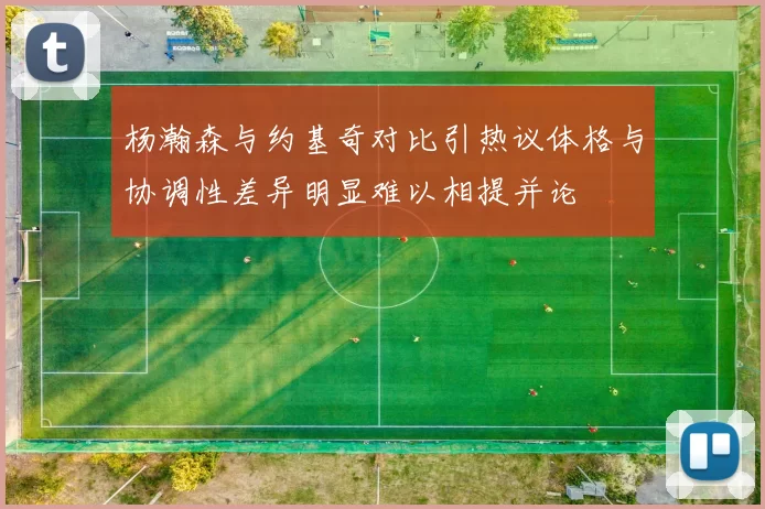 杨瀚森与约基奇对比引热议体格与协调性差异明显难以相提并论